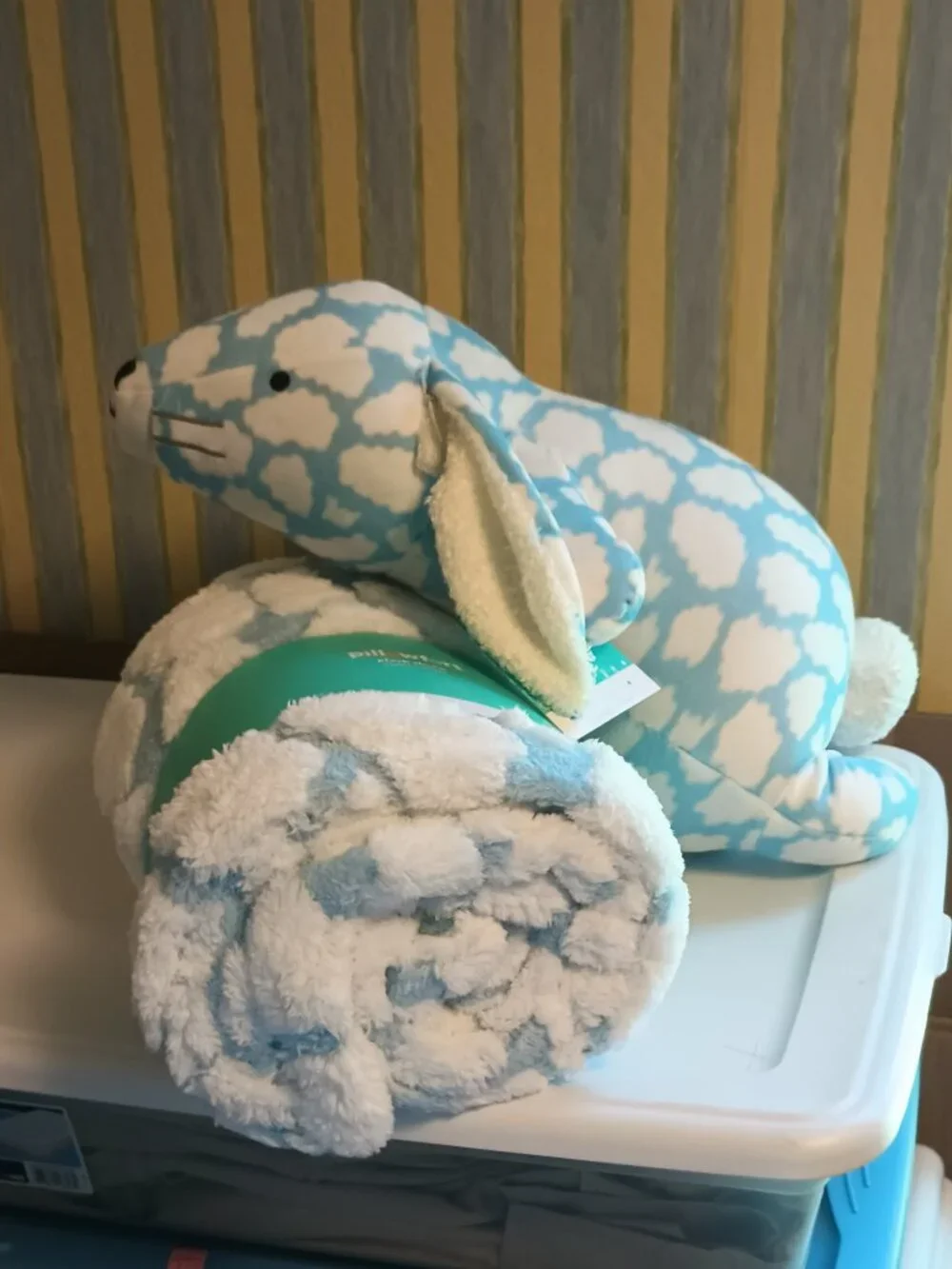 NEW Cloud Plush Kids' Throw Blanket Blue - Pillowfort™
